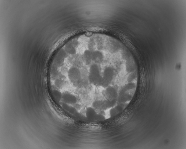 X0000114550443200911301228