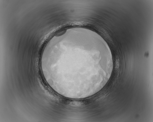 X0000114550444200911301228