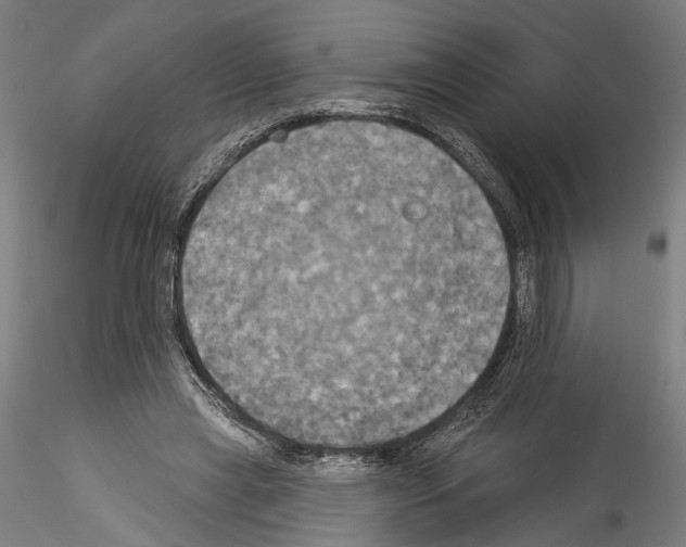 X0000114550445200911301228