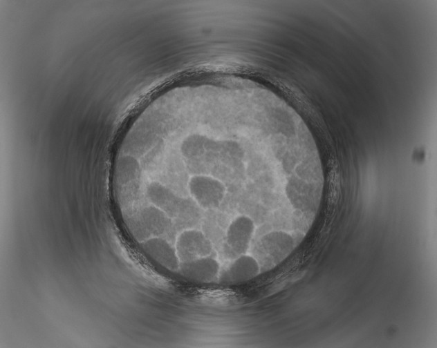 X0000114550446200911301228