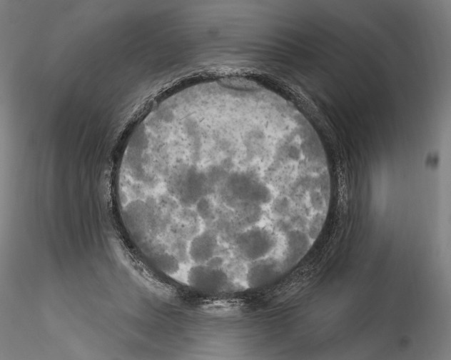 X0000114550447200911301228