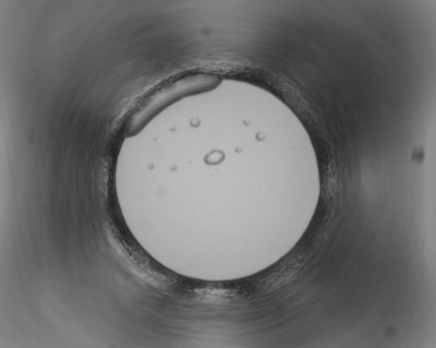 X0000114550448200911301228