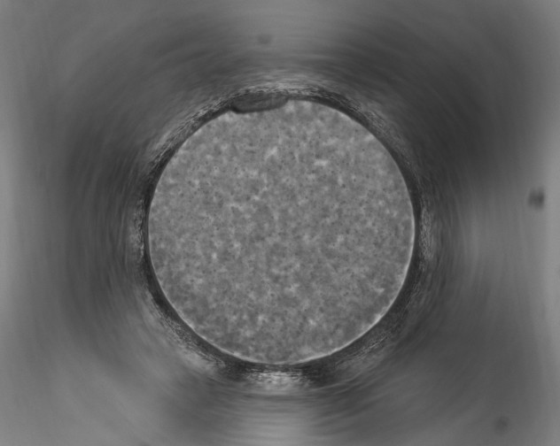 X0000114550449200911301228