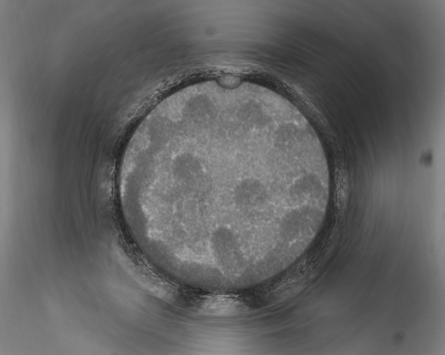 X0000114550451200911301228