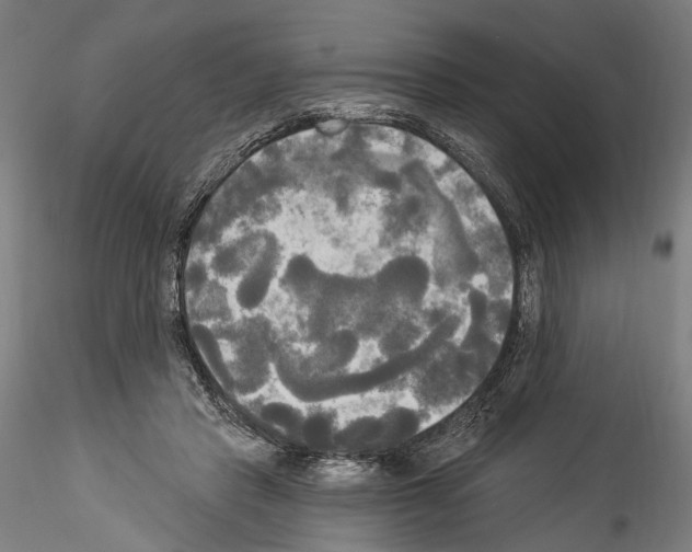 X0000114550453200911301228