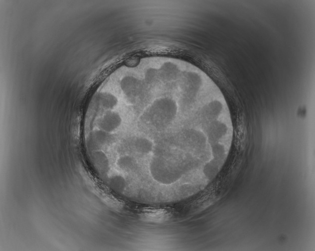 X0000114550454200911301228