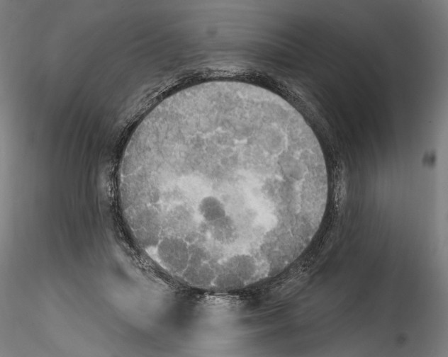 X0000114550455200911301228