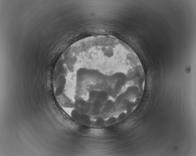 X0000114550457200911301228