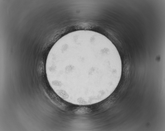 X0000114550459200911301228
