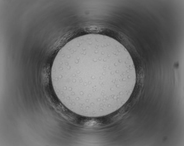X0000114550460200911301228