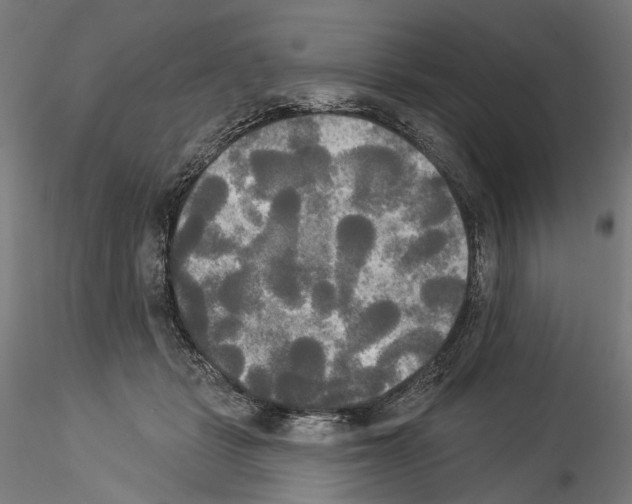 X0000114550461200911301228