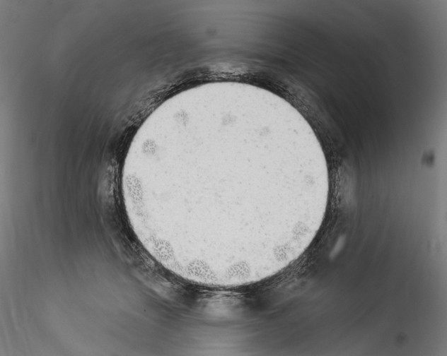 X0000114550463200911301228