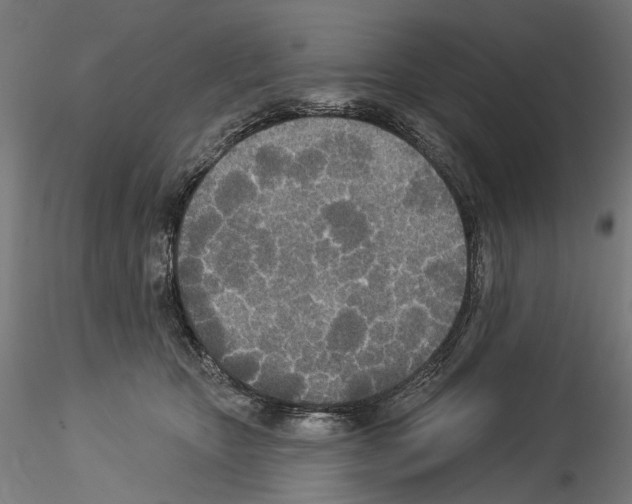 X0000114550467200911301228