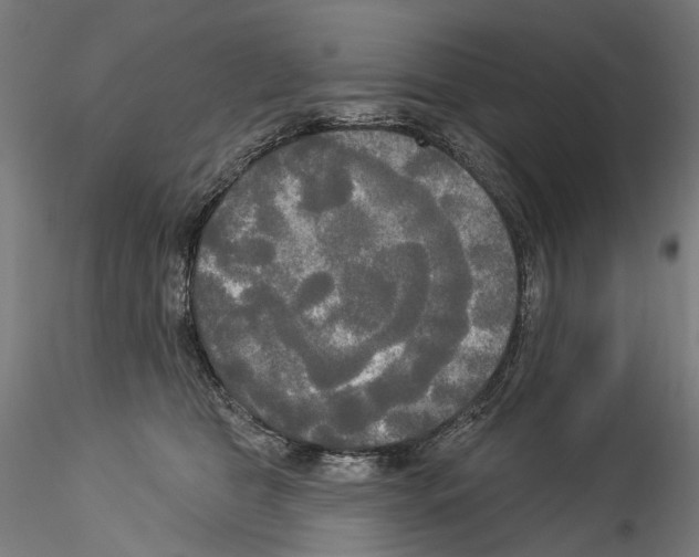 X0000114550469200911301228