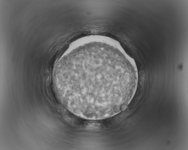 X0000114550471200911301228