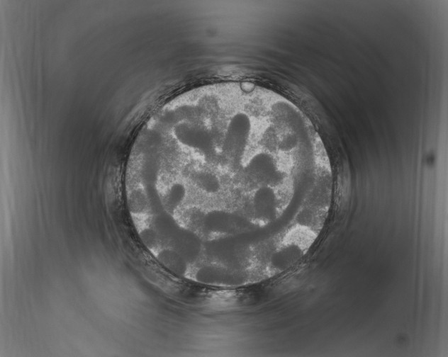 X0000114550473200911301228