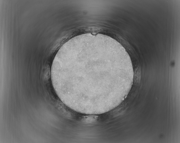 X0000114550474200911301228