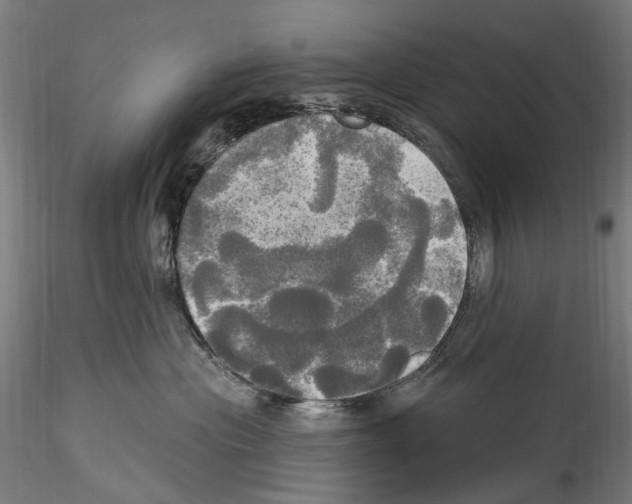 X0000114550477200911301228
