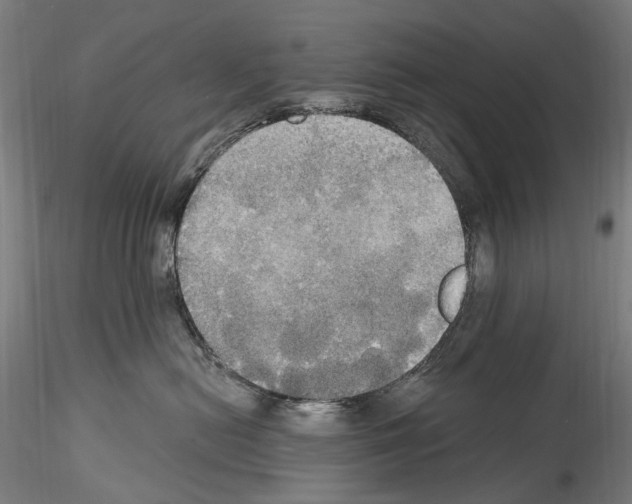 X0000114550478200911301228