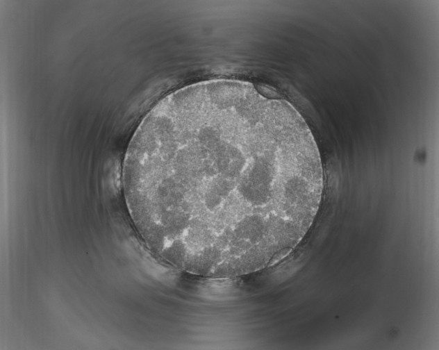 X0000114550479200911301228