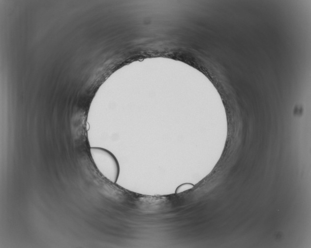 X0000114550480200911301229