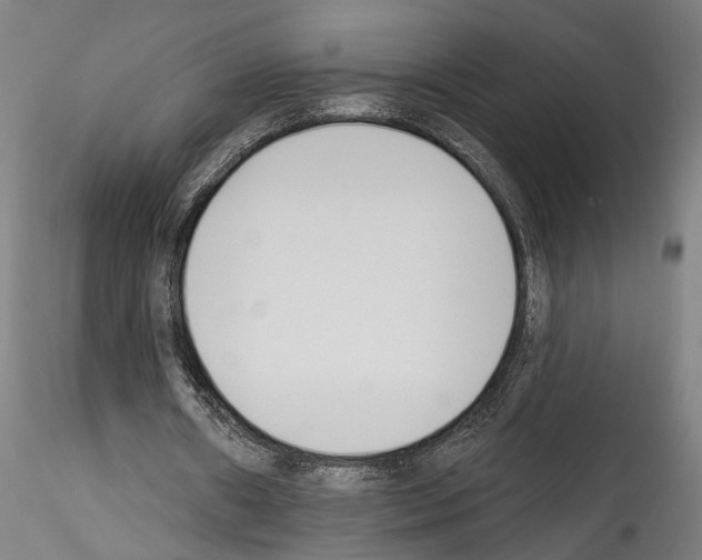 X0000114550482200911301228