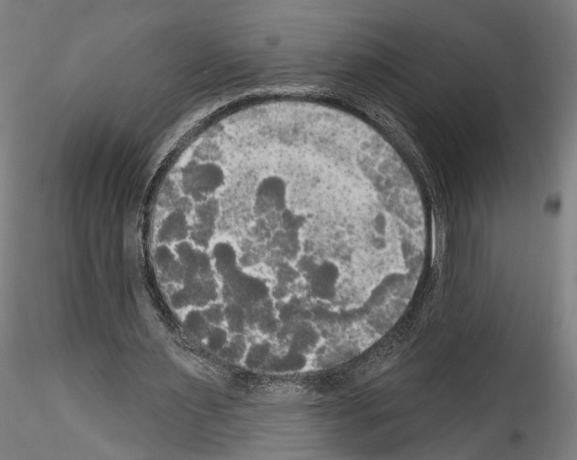 X0000114550483200911301228