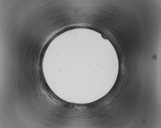 X0000114550484200911301228