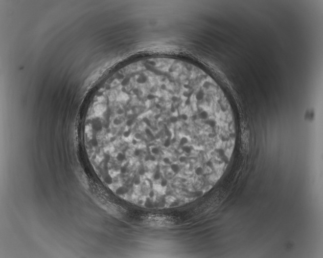 X0000114550487200911301228