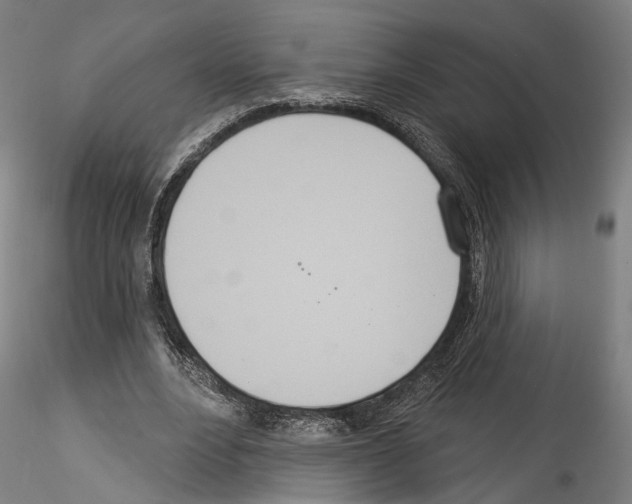 X0000114550488200911301228