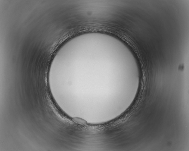 X0000114550489200911301228