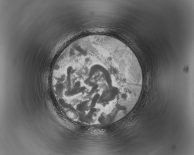 X0000114550491200911301228