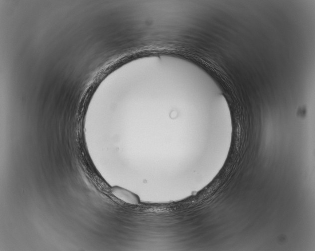 X0000114550492200911301228