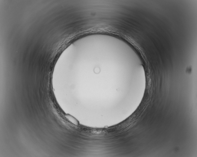 X0000114550493200911301228
