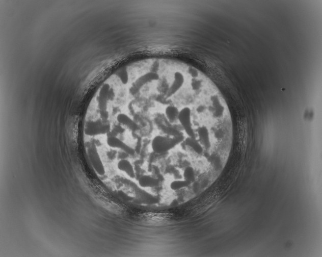 X0000114550495200911301227