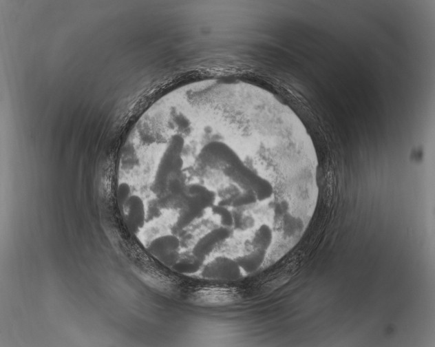 X0000114550499200911301227