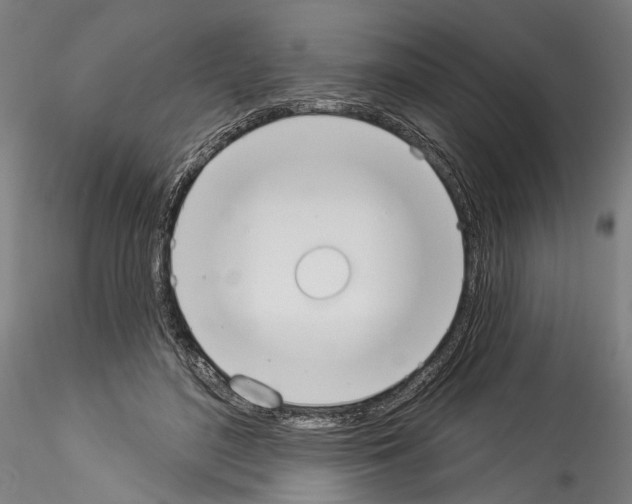 X0000114550500200911301227