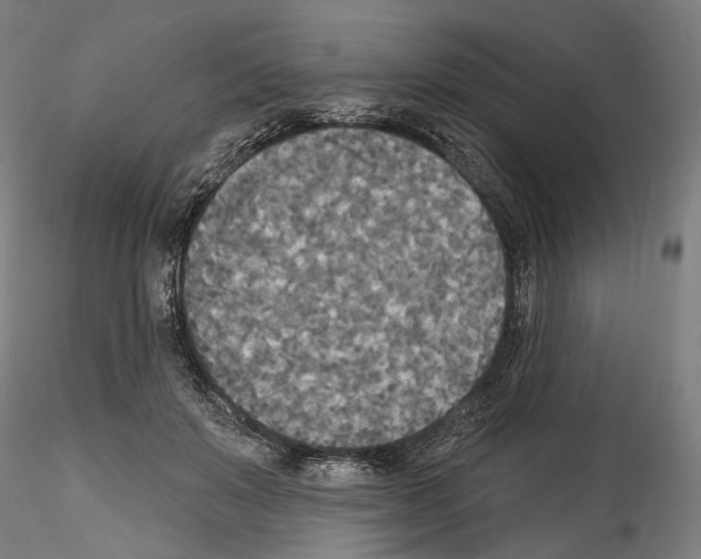 X0000114550503200911301227