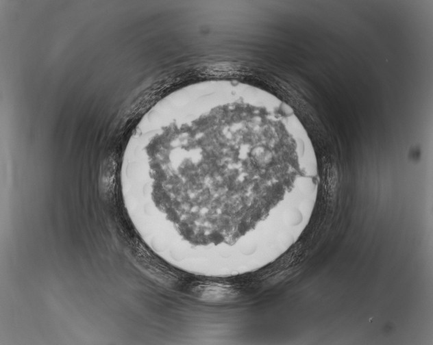 X0000114550507200911301227