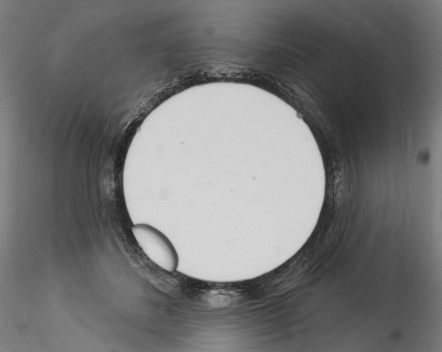 X0000114550508200911301227