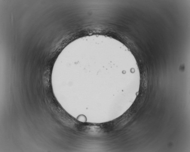 X0000114550509200911301227