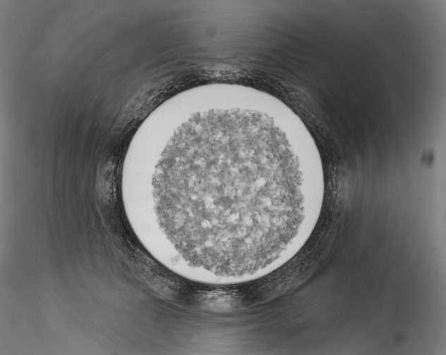 X0000114550511200911301227