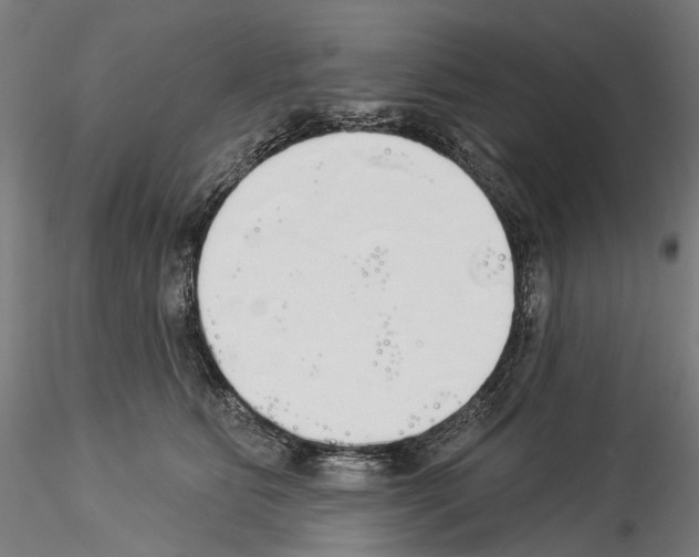 X0000114550515200911301227