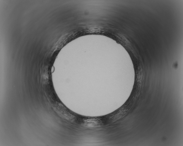 X0000114550516200911301227