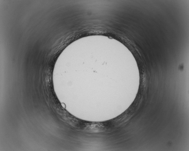 X0000114550517200911301227