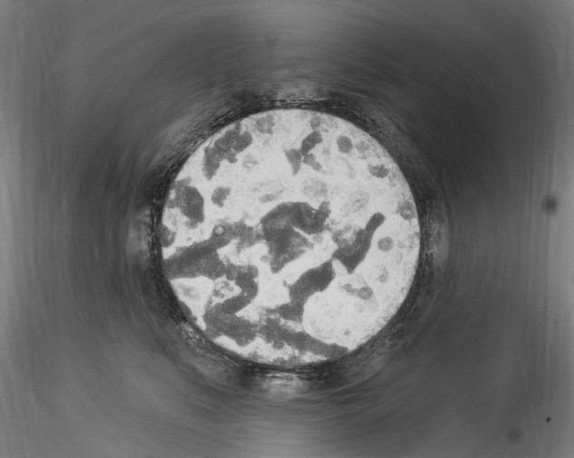X0000114550519200911301227