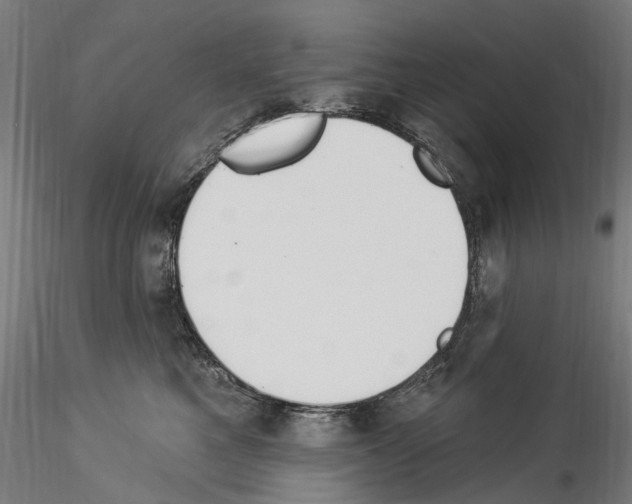 X0000114550521200911301227