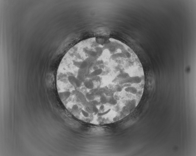 X0000114550523200911301227