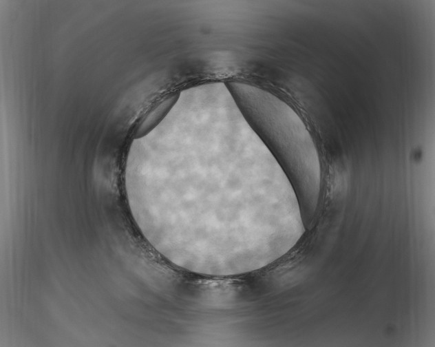X0000114550524200911301227
