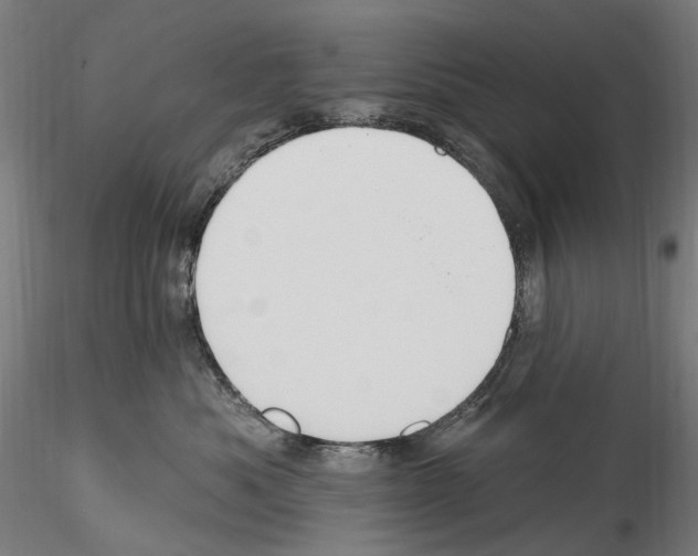 X0000114550525200911301227
